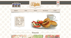 Desktop Screenshot of ergida.com.tr
