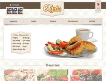 Tablet Screenshot of ergida.com.tr